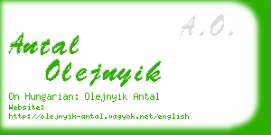 antal olejnyik business card